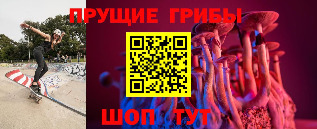 Псилоцибиновые грибы GOLDEN TEACHER  Галлюциногенные грибы прущие грибы  Вход с VPN  Великий Устюг 