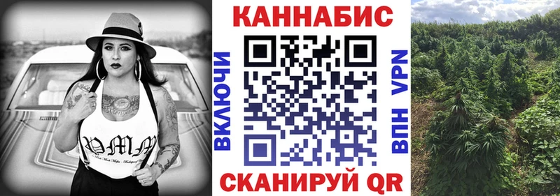 Канабис AK-47 Великий Устюг